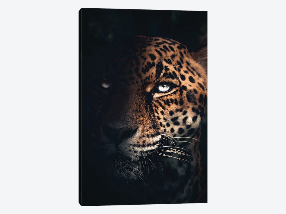 The Jaguar by Zenja Gammer 1-piece Canvas Art Print