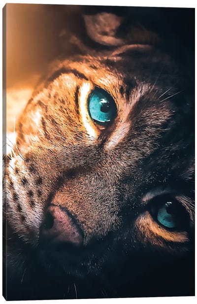 The Aqua Blue Eyed Leopard Canvas Art Print