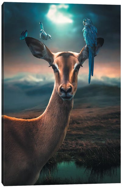 Deer Birds Canvas Art Print - Zenja Gammer