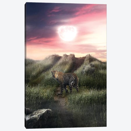 The Leopard And The Moon Canvas Print #ZGA111} by Zenja Gammer Canvas Print