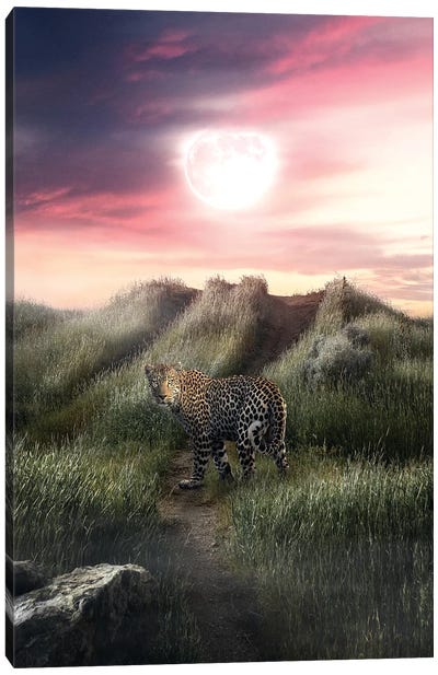 The Leopard And The Moon Canvas Art Print - Zenja Gammer