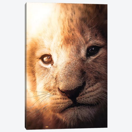 The Lion Cub Canvas Print #ZGA115} by Zenja Gammer Canvas Art