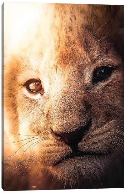 The Lion Cub Canvas Art Print - Zenja Gammer