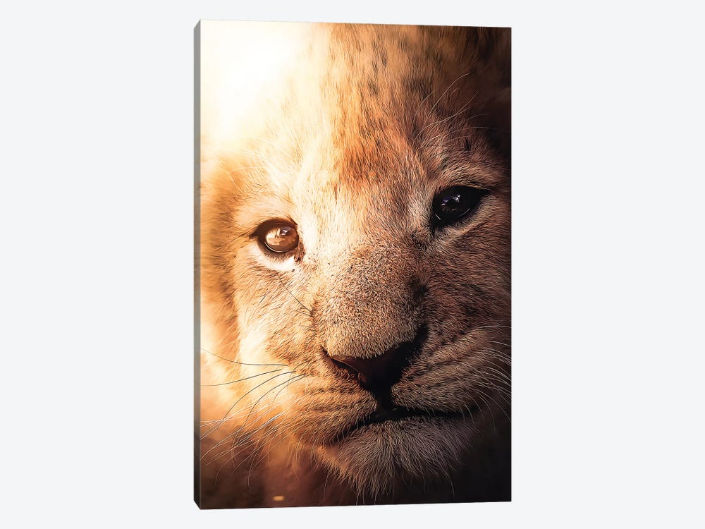 The Lion Cub by Zenja Gammer 1-piece Canvas Artwork