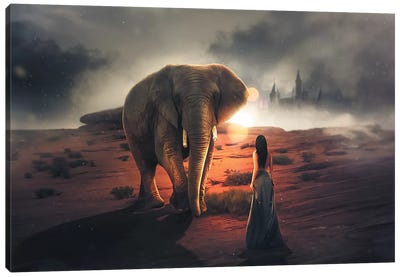 Elephant Dream Canvas Art Print - Zenja Gammer