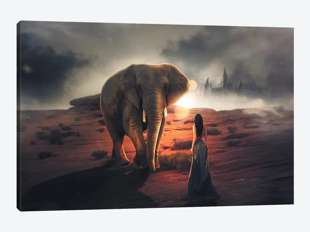 Elephant Dream by Zenja Gammer 1-piece Canvas Print