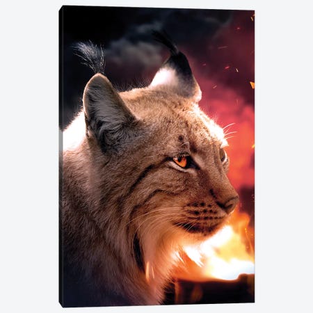 The Lynx And The Fire Canvas Print #ZGA121} by Zenja Gammer Canvas Art