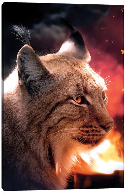 The Lynx And The Fire Canvas Art Print - Lynx Art