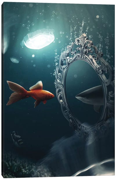 The Mirror Imagination Canvas Art Print - Zenja Gammer