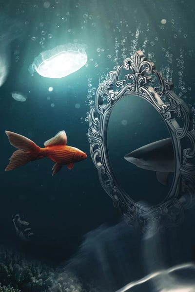 Through The Looking Glass: The Mirror Imagination by Zenja Gammer