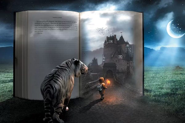 Tigers: Fairy Tale Book by Zenja Gammer