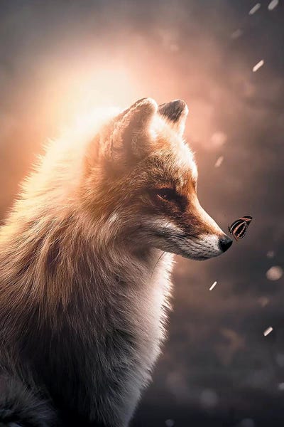 First Fox & Butterfly by Zenja Gammer canvas print