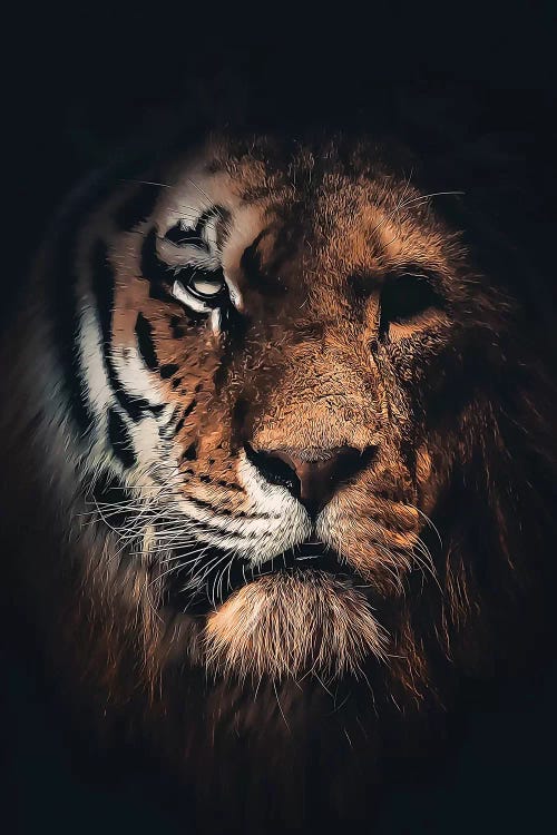 half cat half tiger