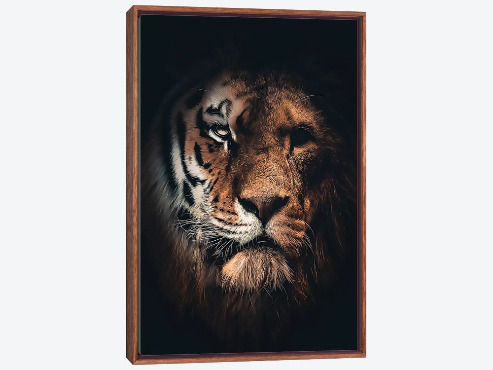  Wild & Free Tiger, Enjoy Cool Tigers Fashion Graphic