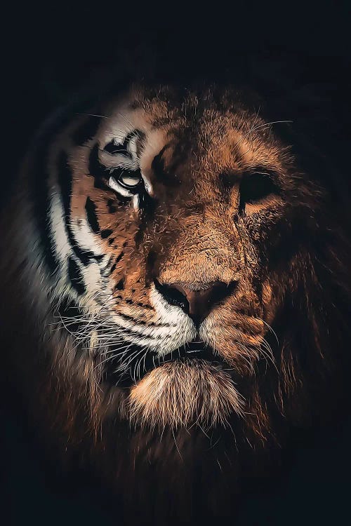 Half Tiger Half Lion by Zenja Gammer wall art