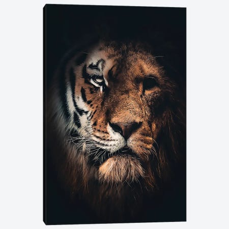 Half Tiger Half Lion Canvas Print #ZGA133} by Zenja Gammer Canvas Print