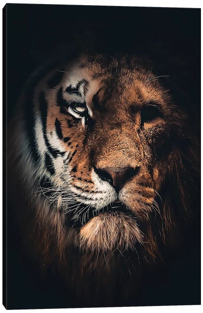 Half Tiger Half Lion Canvas Art Print - Tiger Art