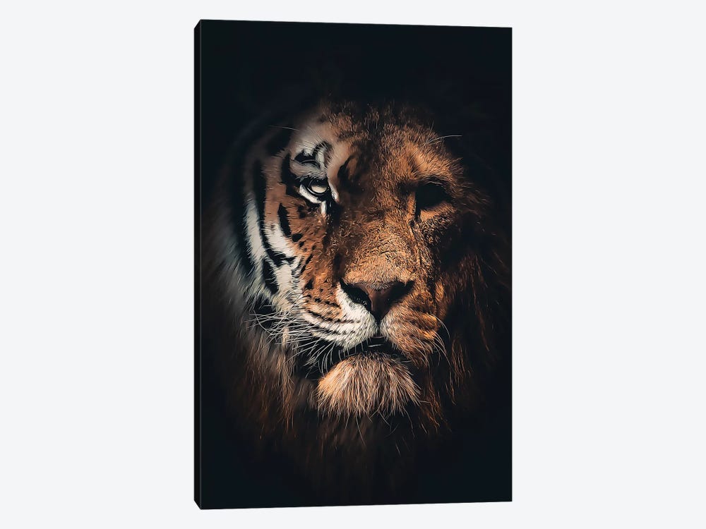 Half Tiger Half Lion by Zenja Gammer 1-piece Canvas Artwork