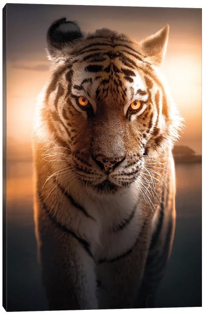 The Glowing Tiger Canvas Art Print - Zenja Gammer