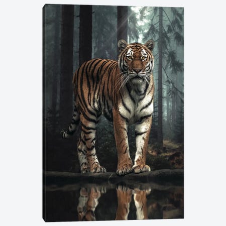 The Tiger In The Forest Canvas Print #ZGA135} by Zenja Gammer Canvas Artwork