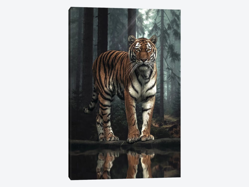 The Tiger In The Forest by Zenja Gammer 1-piece Canvas Art