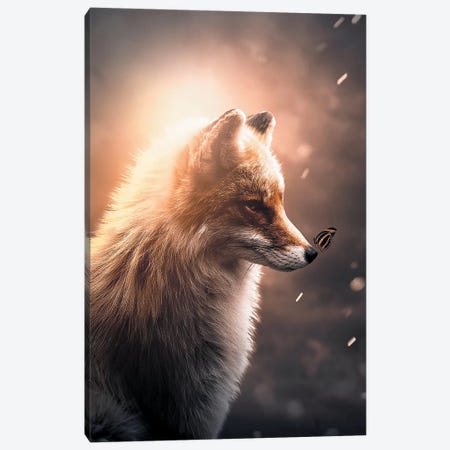 First Fox & Butterfly Canvas Print #ZGA13} by Zenja Gammer Canvas Print