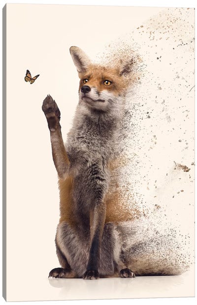 The Dispersion Fox Canvas Art Print - Zenja Gammer