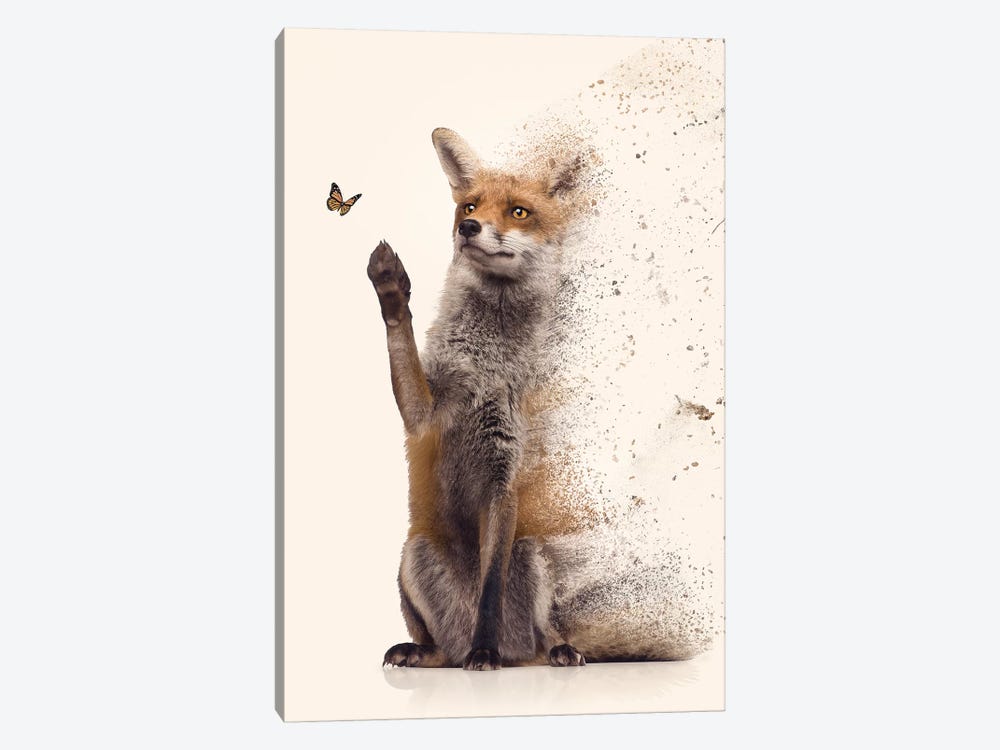 The Dispersion Fox by Zenja Gammer 1-piece Canvas Wall Art