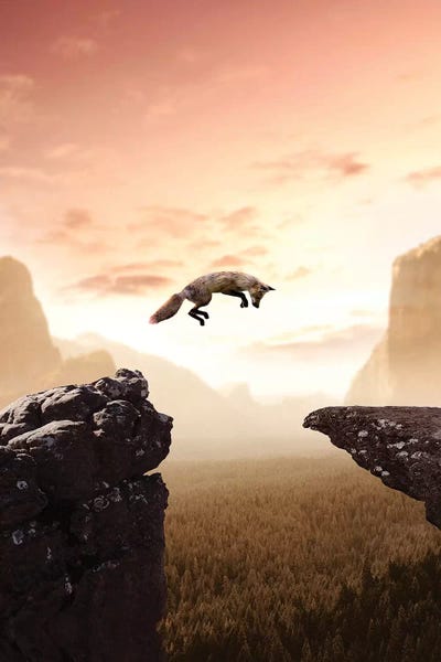 Foxes: The Jumping Fox by Zenja Gammer