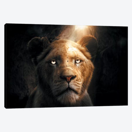 The Lion In The Cave Canvas Print #ZGA142} by Zenja Gammer Canvas Artwork