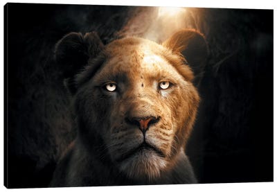 The Lion In The Cave Canvas Art Print - Zenja Gammer