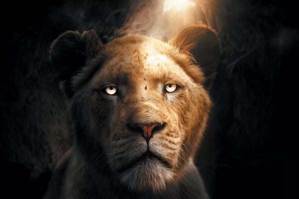 Lions: The Lion In The Cave by Zenja Gammer