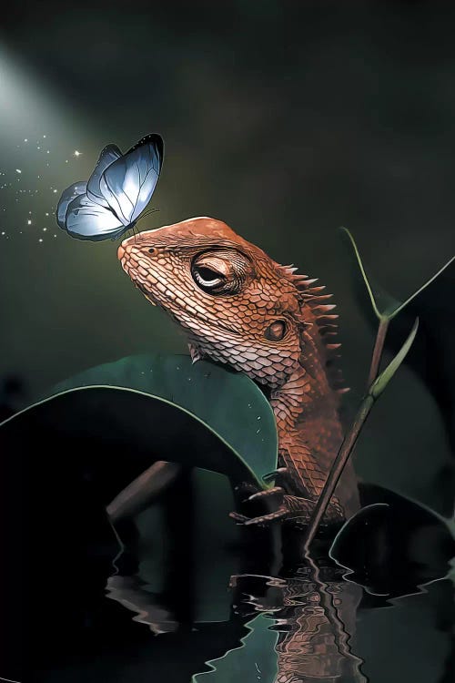 The Iguana & Butterfly