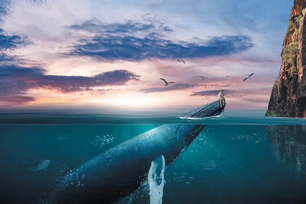 Kids Ocean Life Art: Fishing Boy by Zenja Gammer