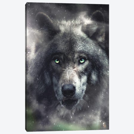 The Hungry Wolf Canvas Print #ZGA152} by Zenja Gammer Canvas Print