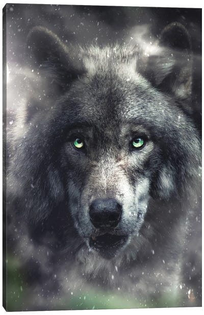 The Hungry Wolf Canvas Art Print - Zenja Gammer