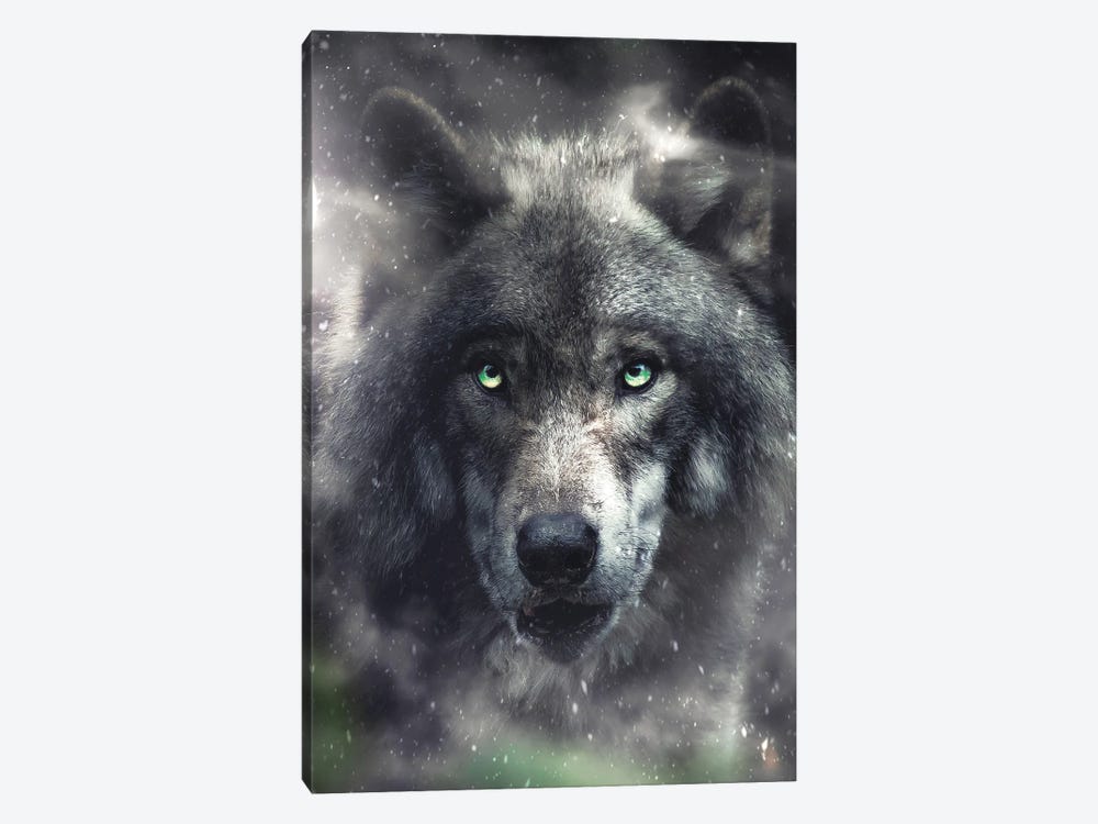 The Hungry Wolf by Zenja Gammer 1-piece Canvas Print
