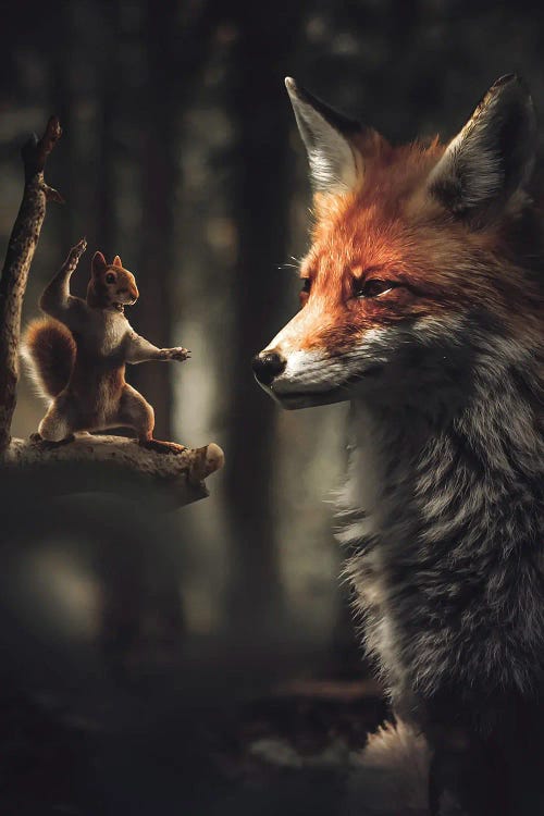 The Karate Squirrel by Zenja Gammer wall art