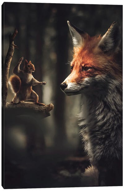 The Karate Squirrel Canvas Art Print - Zenja Gammer