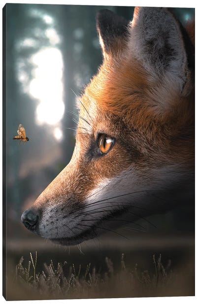 The Fox & The Wasp Canvas Art Print - Fox Art