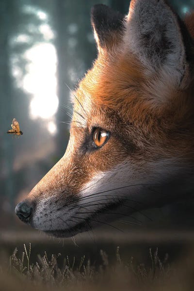 Composite Photography: The Fox & The Wasp by Zenja Gammer