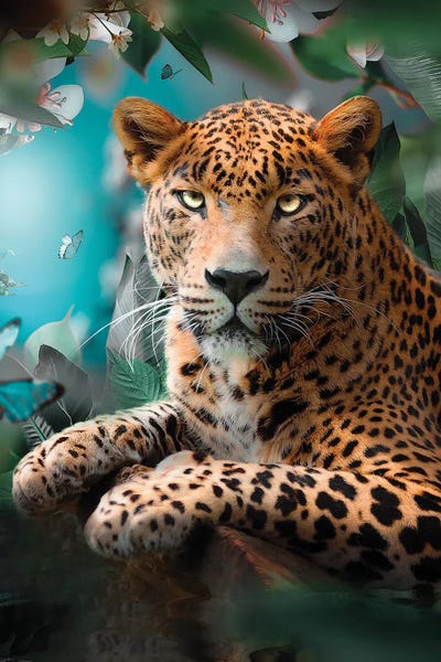 Leopards: The Colorful Leopard by Zenja Gammer