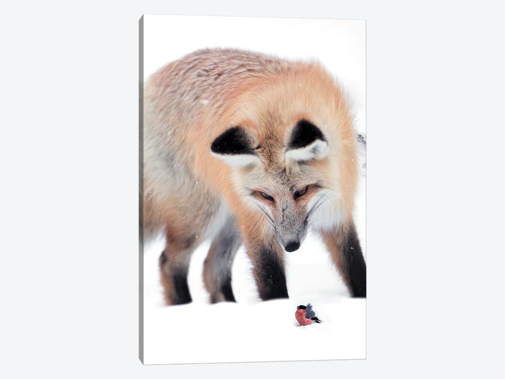 Fox Bird 1-piece Art Print