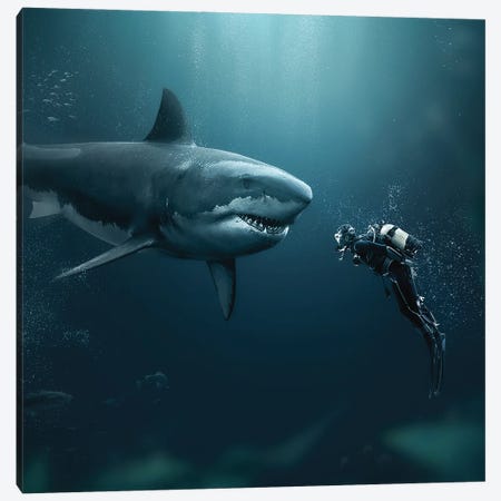 Shark Meets Diver Canvas Print #ZGA162} by Zenja Gammer Canvas Wall Art