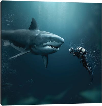 Shark Meets Diver Canvas Art Print - Shark Art