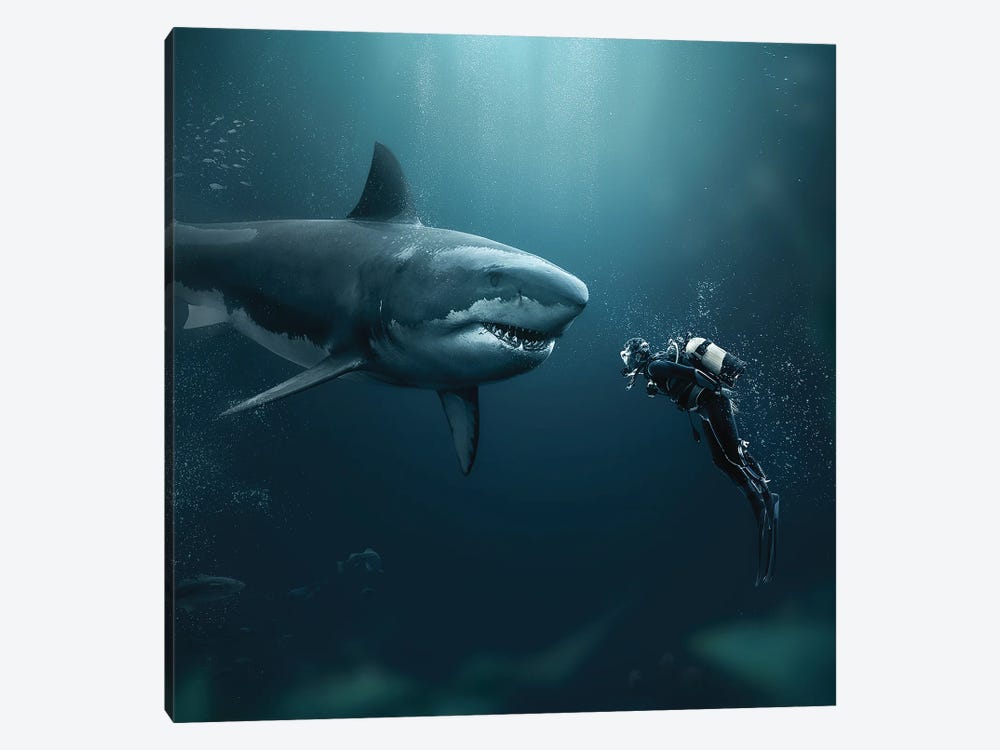 Shark Meets Diver by Zenja Gammer 1-piece Canvas Artwork