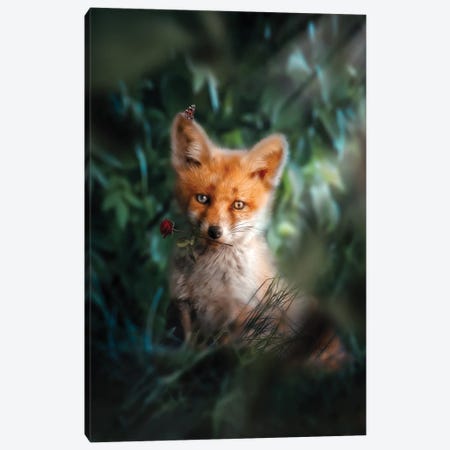 The Gentle Fox Cub Canvas Print #ZGA165} by Zenja Gammer Art Print