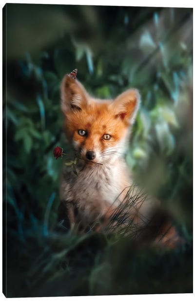The Gentle Fox Cub Canvas Art Print - Zenja Gammer