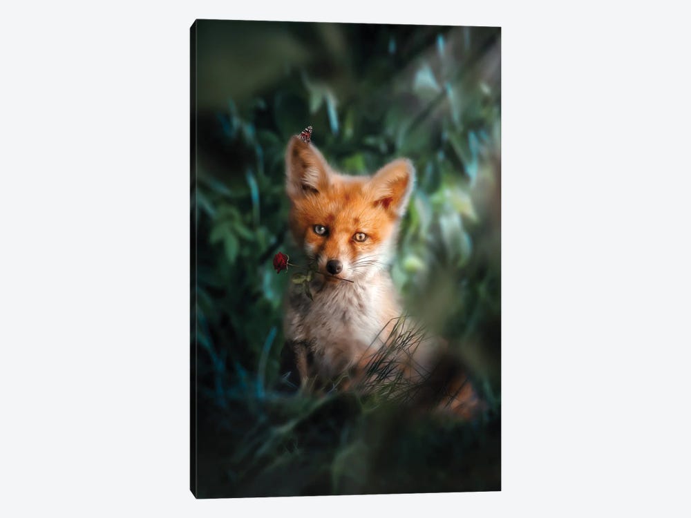 The Gentle Fox Cub by Zenja Gammer 1-piece Canvas Art Print