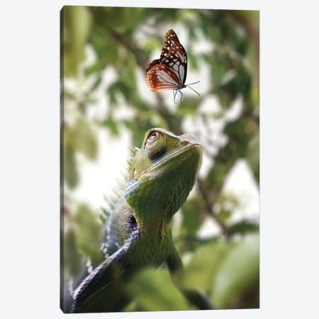 Chameleon & Butterfly Canvas Print #ZGA166} by Zenja Gammer Canvas Print